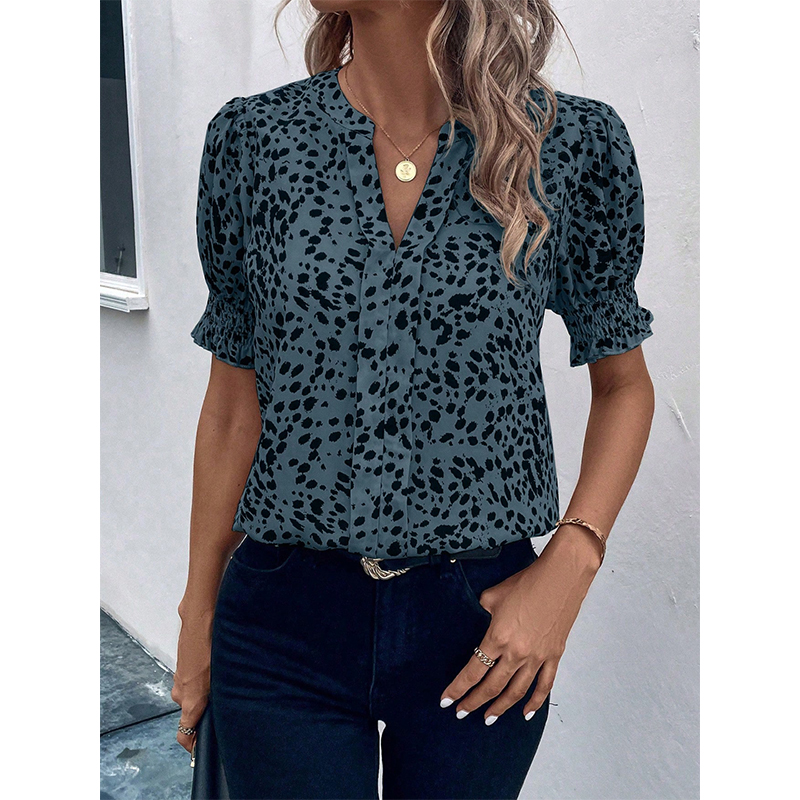 Chiffon Shirt