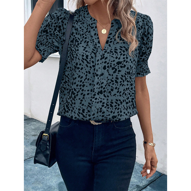 Chiffon Shirt