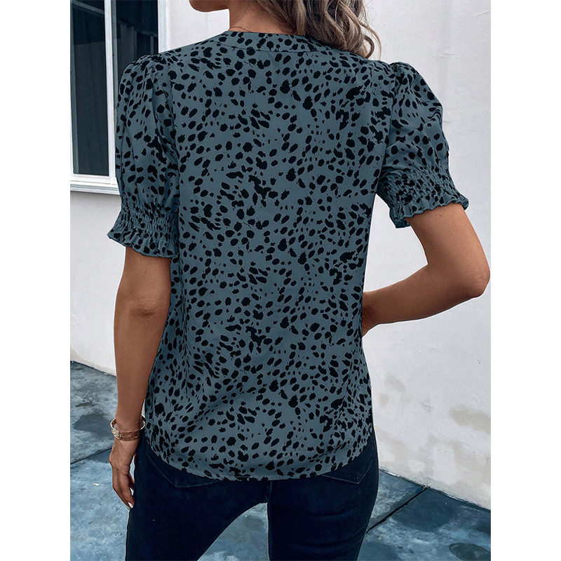 Chiffon Shirt