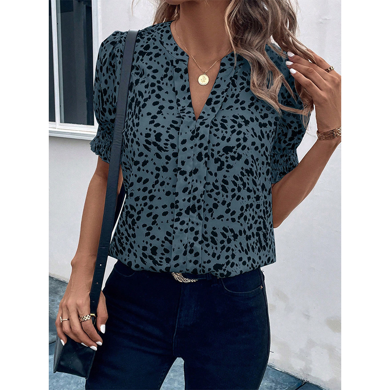 Chiffon Shirt
